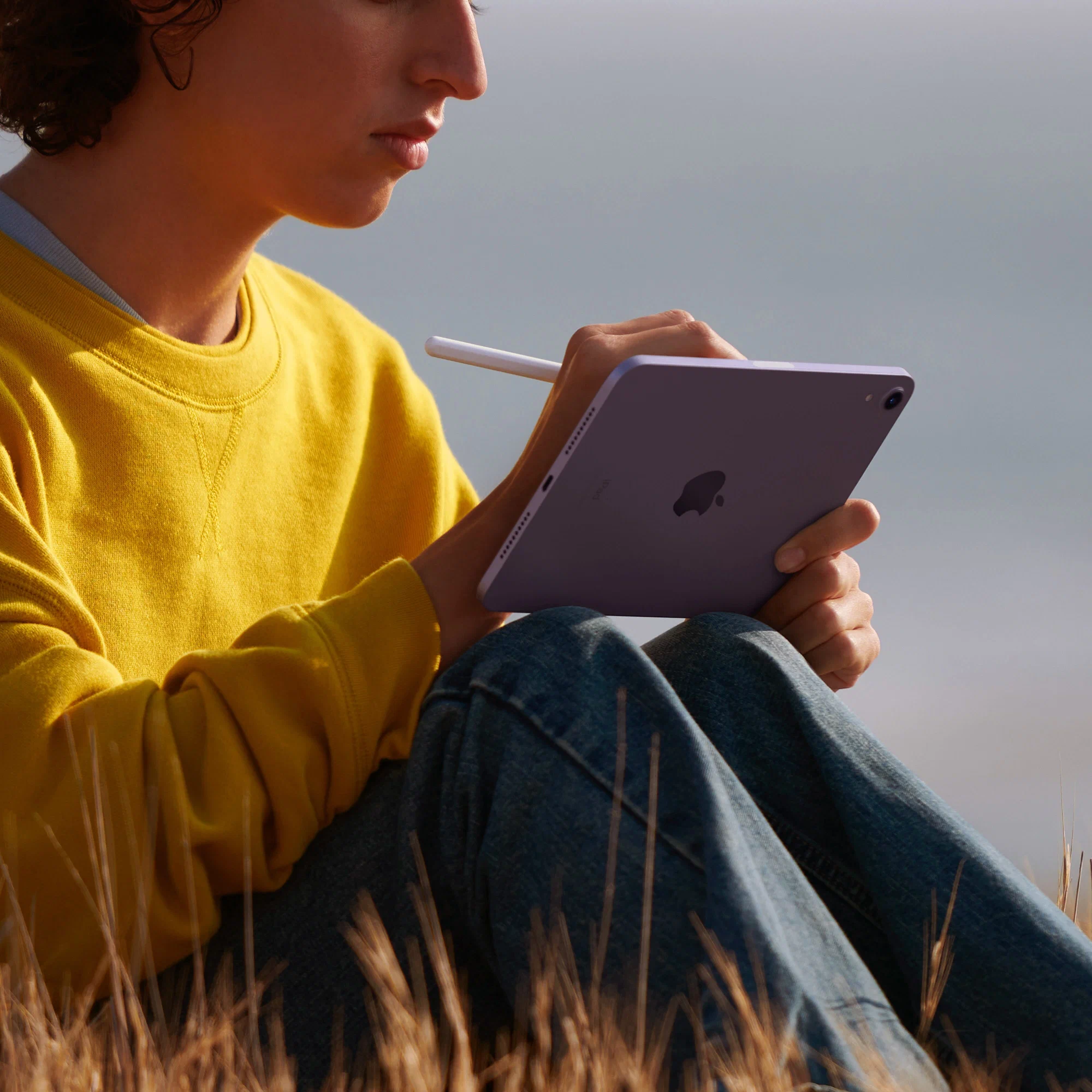 Планшет Apple iPad MINI 6, 8.3", 256gb, Wi-fi, Purple/Фиолетовый изображение 16