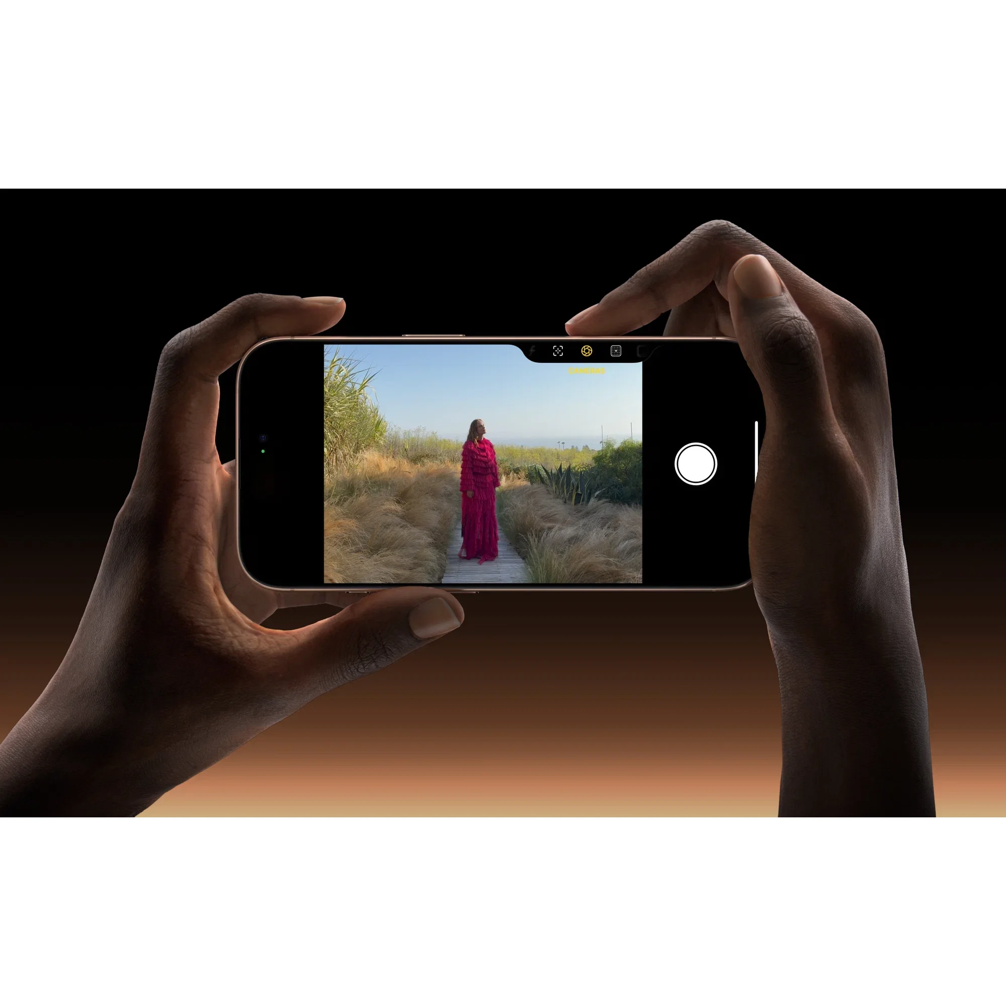 Смартфон Apple iPhone 16 Pro Max 256 ГБ LLA, Только eSIM, пустынный титан изображение 15