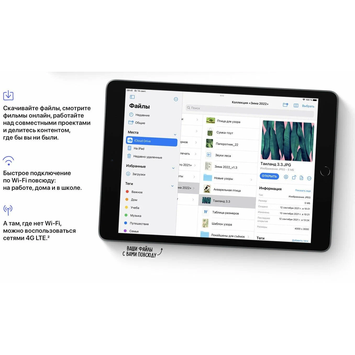 Планшет Apple, iPad 9, 10.2", 256 Gb, WiFi, Black ( Черный ) изображение 12