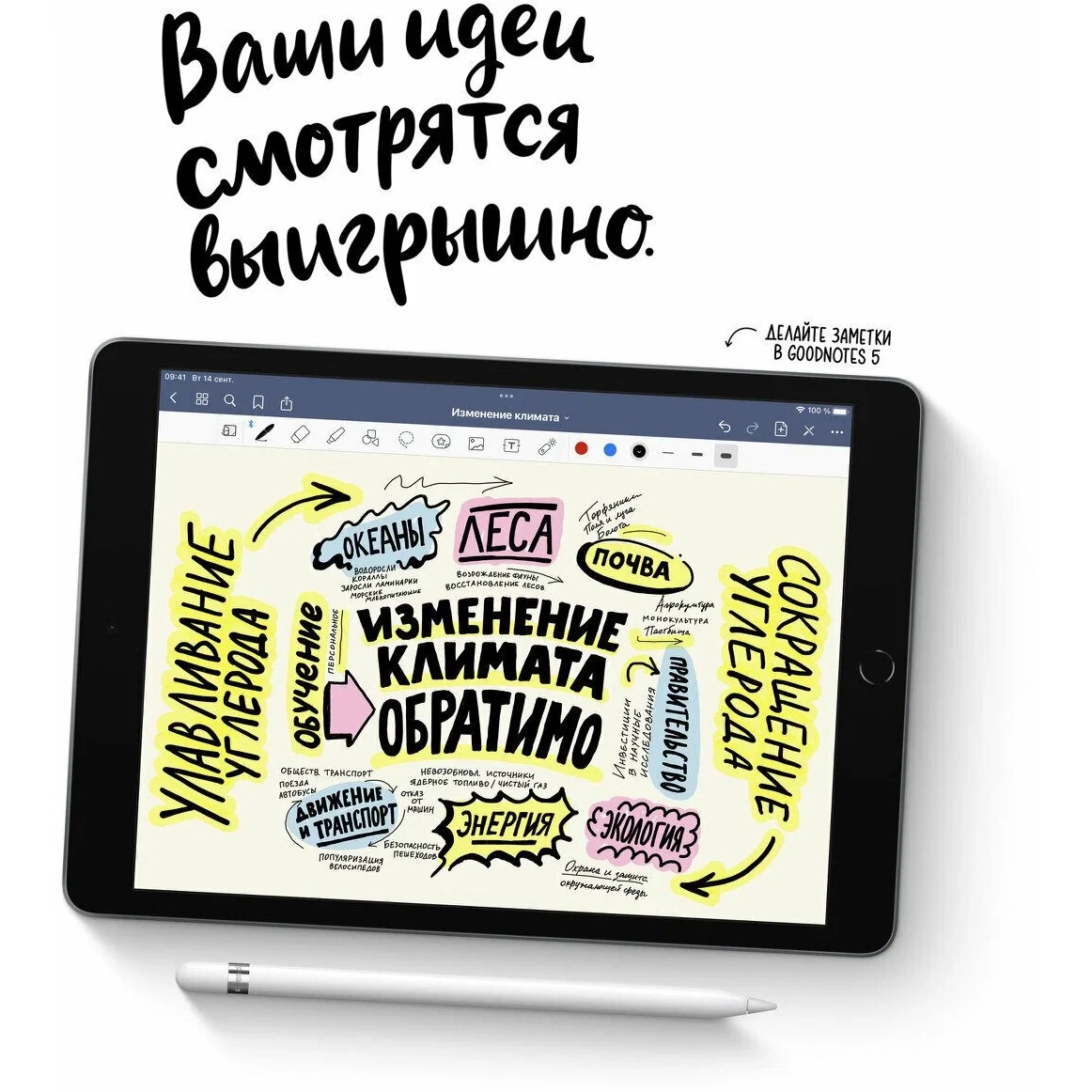Планшет Apple, iPad 9, 10.2", 256 Gb, WiFi, Black ( Черный ) изображение 13