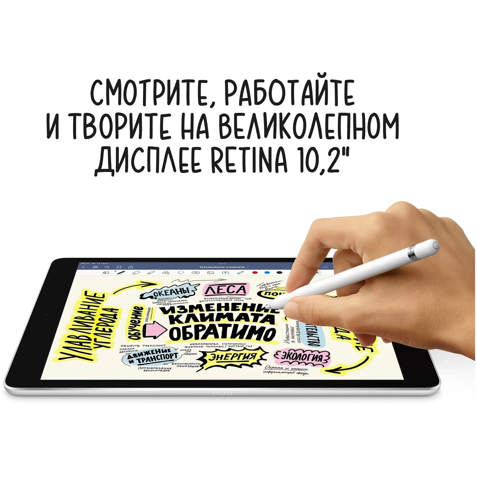 Планшет Apple, iPad 9, 10.2", 256 Gb, WiFi, Black ( Черный ) изображение 14