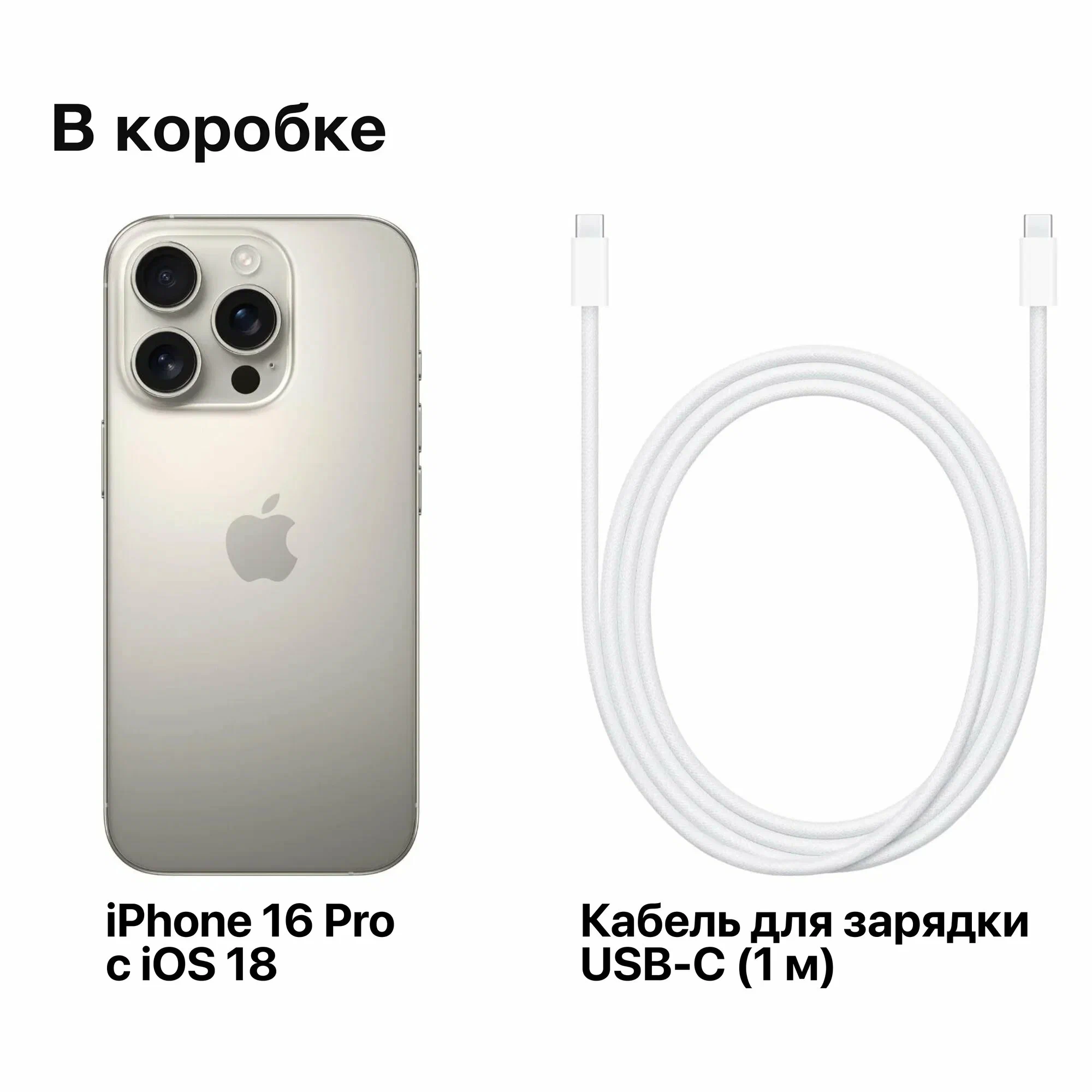 Apple iPhone 16 Pro 256GB, Natural Titanium ( Натуральный титан ) Только eSIM изображение 9