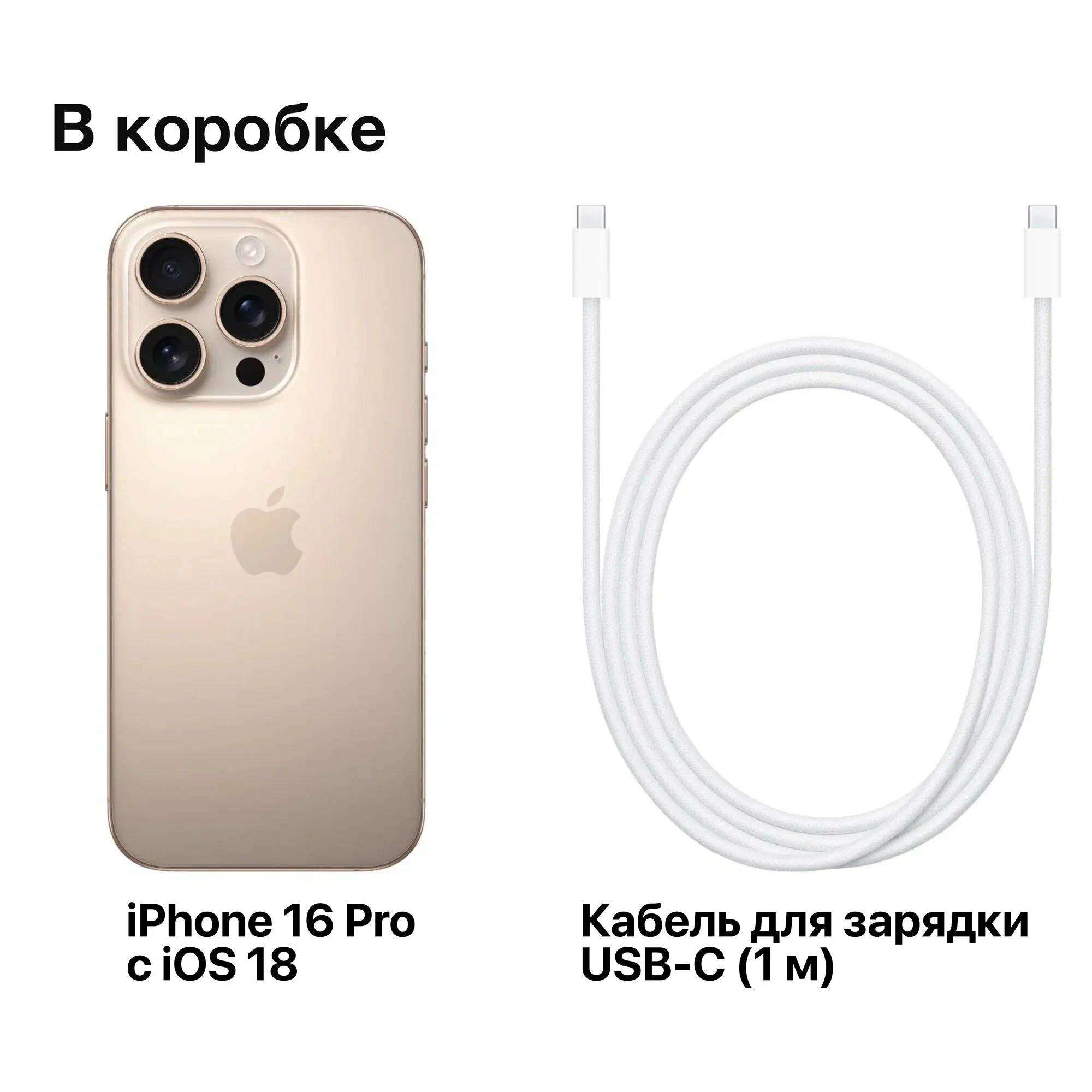 Смартфон Apple iPhone 16 Pro Max 1Tb память , Desert Titanium (Пустынный титан) только e-SIM, LLA (e-sim) изображение 9